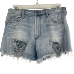 Articles of Society Distressed Denim Shorts Size 27 Summer Jean Shorts